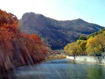 管家婆黑白马报图库，芭奇站群